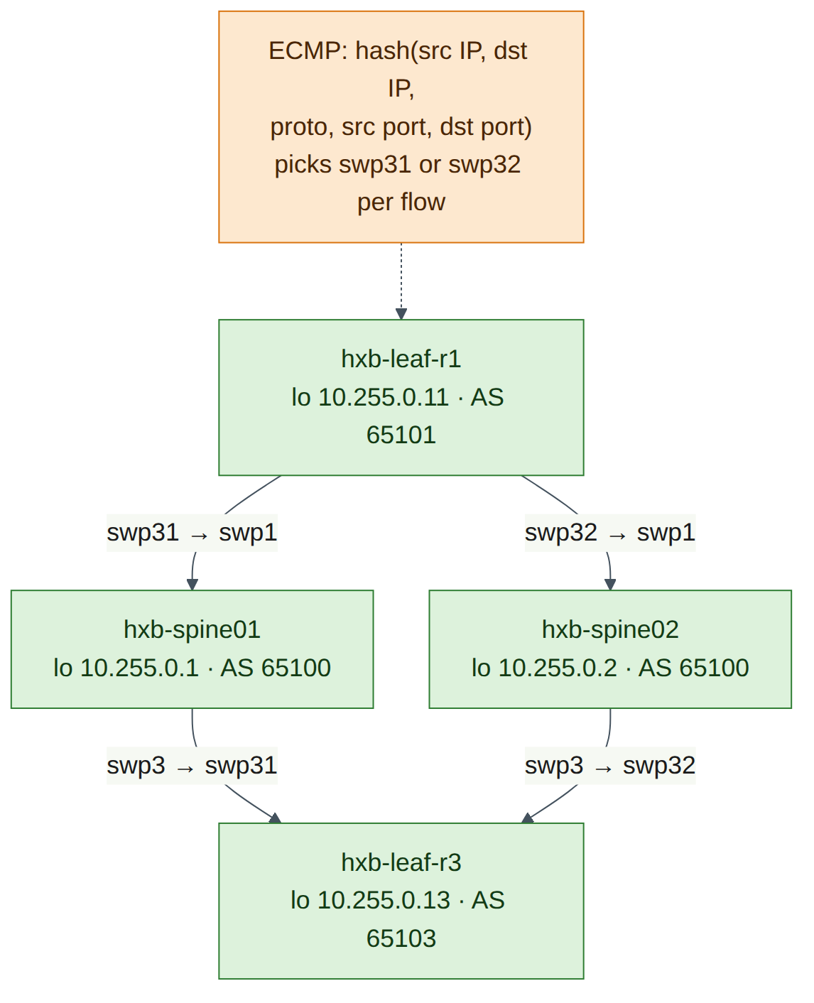 Figure 4.1: Two equal-cost paths from hxb-leaf-r1 to hxb-leaf-r3