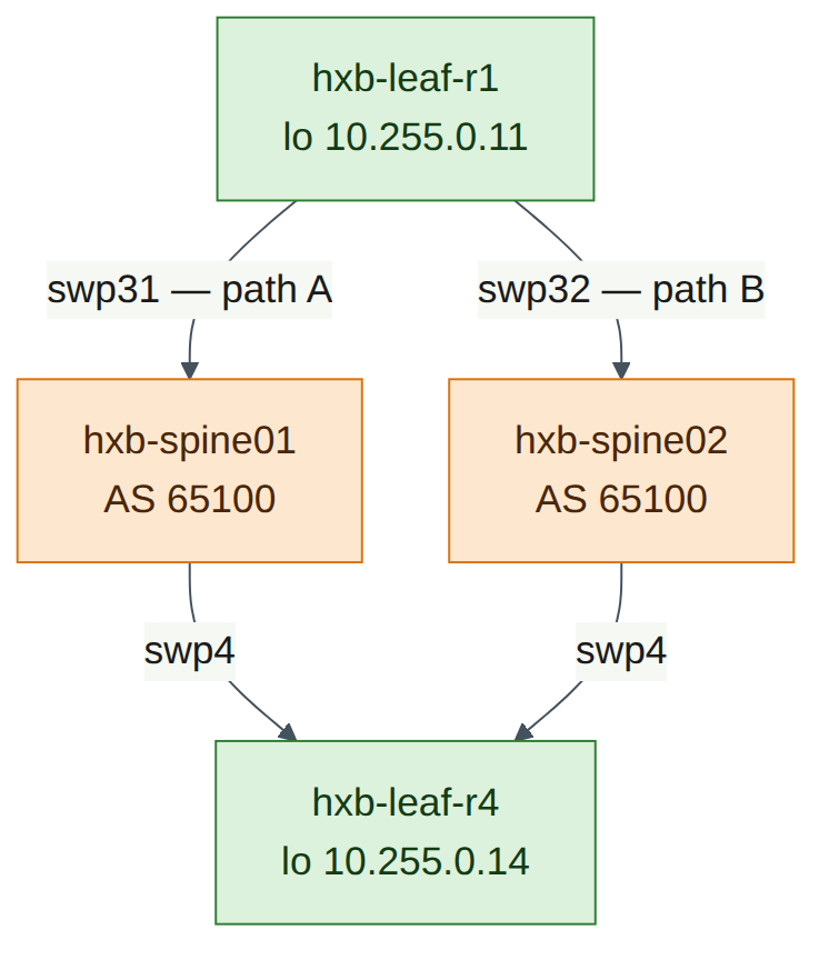 Figure L2.3: Two equal-cost paths from hxb-leaf-r1 to hxb-leaf-r4
